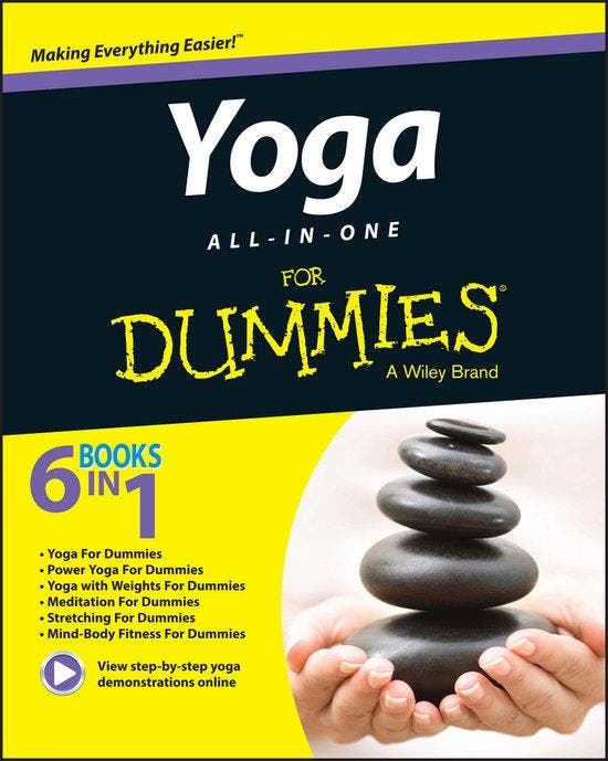 Yoga All-In-One For Dummies 9781119022725 Larry Payne, Boeken, Taal | Engels, Gelezen, Verzenden