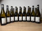 2022 Marco Felluga Sauvignon - Collio DOC - 9 Flessen (0.75, Nieuw