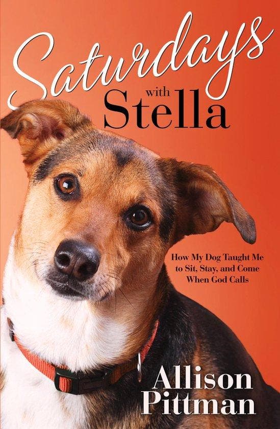 Saturdays with Stella 9781601421395 Allison K. Pittman, Livres, Livres Autre, Envoi