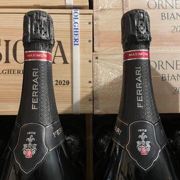 Cantine Ferrari, Ferrari F.lli Lunelli, Maximum Blanc de, Nieuw