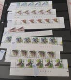 België - Vogels Buzin, Gestempeld