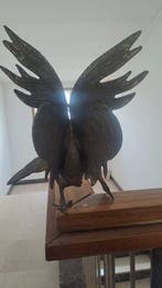Beeld, Gallo da combattimento - 24 cm - Brons
