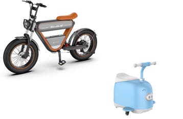 Rictor K1 E-bike 250W Elektrische Fiets met GPS + Rictor C8, Verzenden