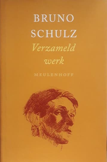 VERZAMELD WERK SCHULZ (GB) 9789029047555 B. Schulz, Verzenden, B. Schulz