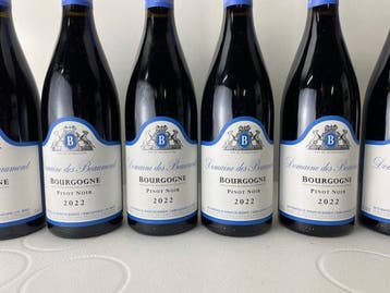 2022 Domaine des Beaumont - Bourgondië - 6 Flessen (0.75