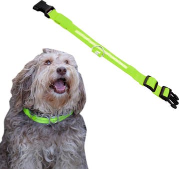 2dekans | Dutchwide Lichtgevende Hondenhalsband - Extra, Dieren en Toebehoren, Ophalen of Verzenden, Nieuw