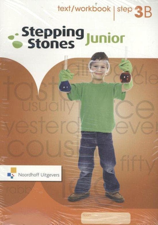 Step 3B / Stepping Stones (5ex) / text/workbook, Livres, Livres scolaires, Envoi