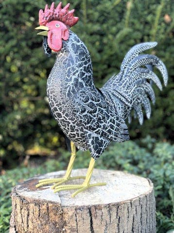 sculptuur, Schitterende haan - 37.5 cm - IJzer