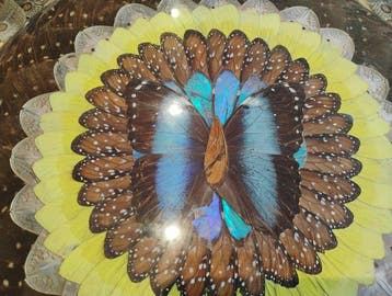 Plateau - mosaïque de papillons - Bois, Verre, papillon -