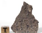Une jolie tranche Lunaire NWA 17700 météorite lunaire