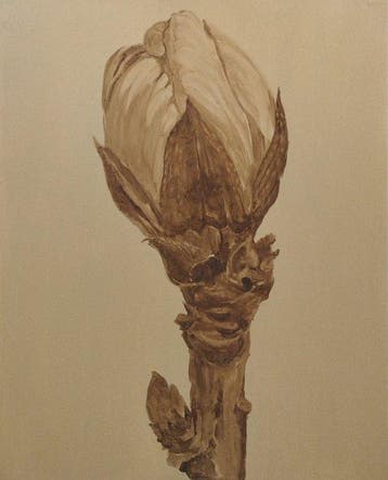 Della Goinne - Plant Portrait No.4 - Prunus Persica - XL -