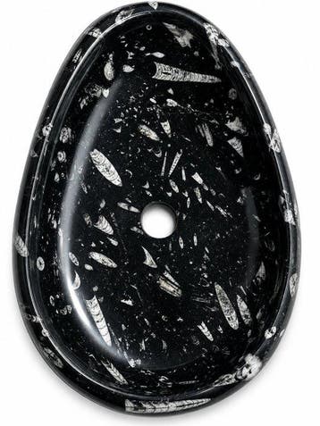 Lavabo - Marmer - Reusachtige fossiele gootsteen, Antiek en Kunst
