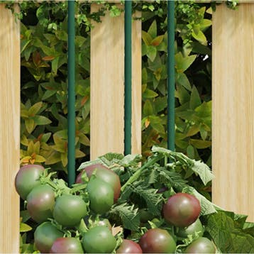 vidaXL Plantenstaken 30 st 115 cm staal groen, Verzenden