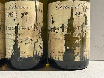 1995 Philippe Bouzereau - Chateau de Citeaux Les, Verzamelen, Nieuw