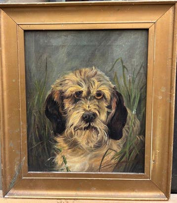 Britse school (XIX) - Portrait de chien - Épagneul dans les