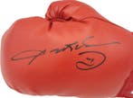 Boxing - Sugar Ray Leonard - Gants de boxe