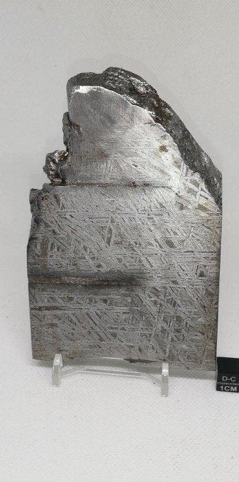 Prachtige meteoriet Aletai. IJzer meteoriet - 631 g