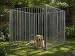 Veiling - Stalen hondenkennel verzinkt - 200x200x184 cm, Nieuw