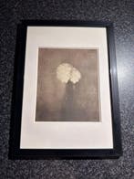 Jan Mankes (1889-1920) - Jasmijn in Vaas