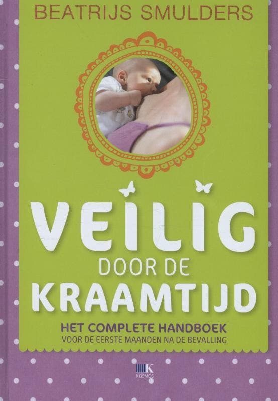 Veilig door de kraamtijd / Veilig-serie 9789021553573, Boeken, Zwangerschap en Opvoeding, Gelezen, Verzenden