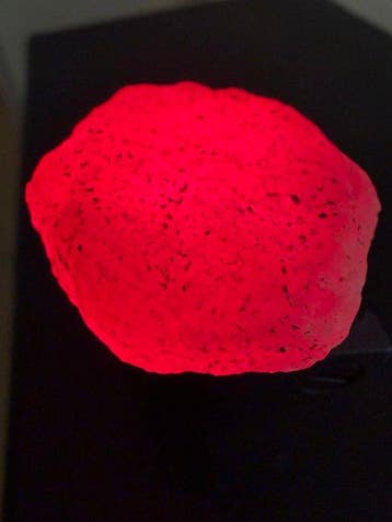 Robijn Prachtige Pure Blood Robijn! 99,75 ct. Mozambique