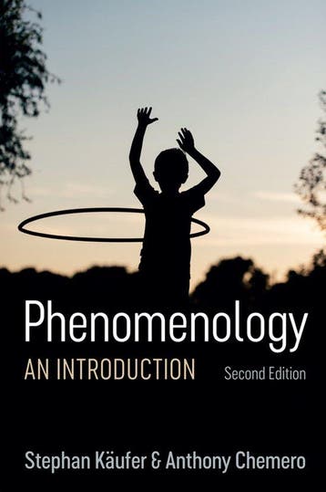 Phenomenology 9781509540662 Stephan Kaufer, Verzenden, Zo goed als nieuw, Stephan Kaufer