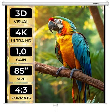 HDTV Beamer scherm - 152 x 152 cm, Verzenden, Nieuw