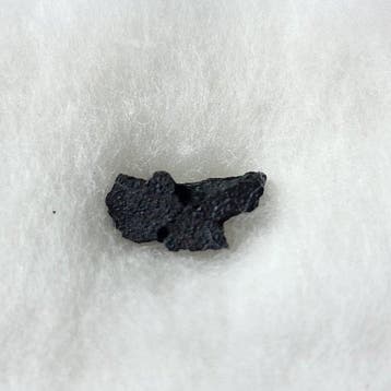 Winchcombe Koolhoudende chondrite meteoriet - 0.12 g, Verzamelen, Mineralen en Fossielen