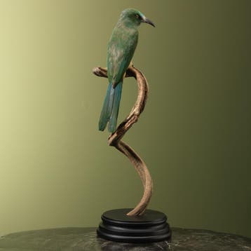 Blauwbaardbijeneter Taxidermie Opgezette Dieren By Max, Verzamelen, Ophalen of Verzenden, Nieuw, Vogel, Opgezet dier