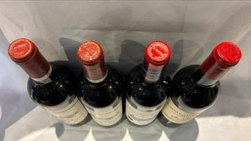 2004 x 2 Chateau Chasse-Spleen, Chateau Grand