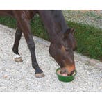 Delizia bloc à lécher bronchial 6 kg - kerbl, Neuf