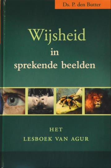 Wijsheid in sprekende beelden 9789033122040 P. den Butter, Verzenden, P. den Butter