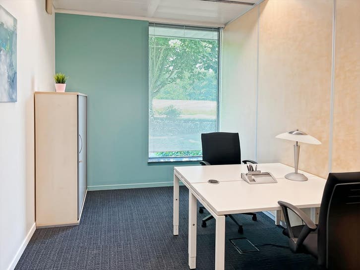 Espace de bureau pour 1 pers. à Parc de L'Alliance, Articles professionnels, Immobilier d'entreprise