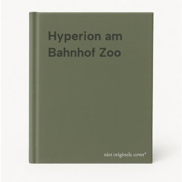 Hyperion am Bahnhof Zoo 9783423125246, Boeken, Verzenden, Zo goed als nieuw