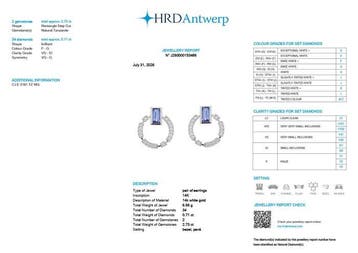 Oorbellen - 14 karaat Witgoud - 3.44ct. tw. Tanzaniet -, Nieuw