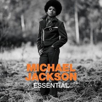 Michael Jackson – Essential CD, CD & DVD, Verzenden