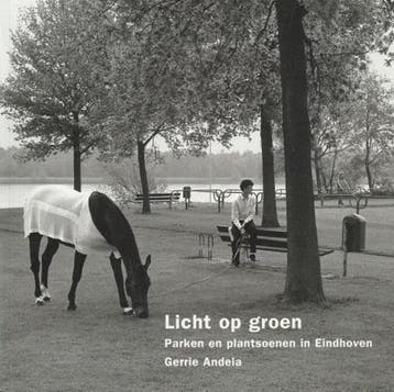 Licht op groen 9789080970816 G. Andela, Verzenden, Zo goed als nieuw, G. Andela