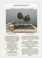 Winterstuk met amaryllis op standaard stel zelf je pakket, Nieuw