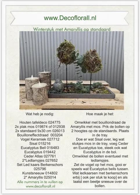 Winterstuk met amaryllis op standaard stel zelf je pakket, Huis en Inrichting, Woonaccessoires | Kunstplanten en Kunstbloemen