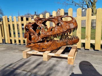 Dinosaure Crâne - 1:1 Allosaurus Skull 83cm Museum Quality -