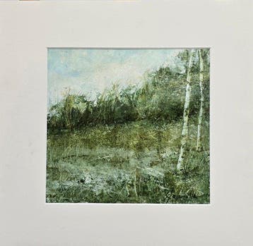 Enric Solanilla (1963) - Un claro en el bosque