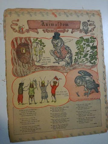 Animaldom - 14 Krantpaginas en strips - 1907, Nieuw