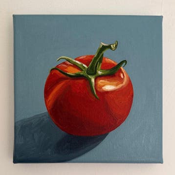 Cansu Rossi - Tomato on Teal