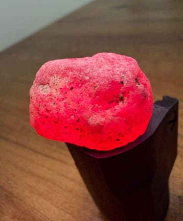 Robijn Pigeon Blood Robijn! 80,55 ct. Mozambique Grote