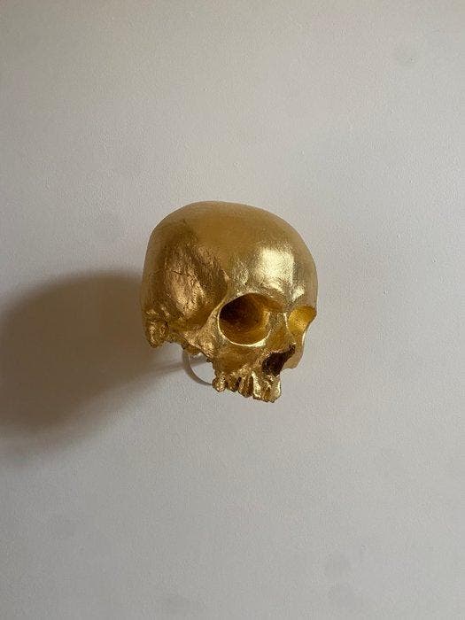 sylvain barberot - Skull #2, Antiquités & Art, Art | Objets design
