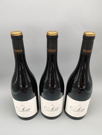 2016 Bodegas y Viñedos Pujanza Norte - Rioja DOCa - 3, Nieuw