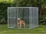 Veiling - Stalen hondenkennel verzinkt - 200x200x184 cm, Animaux & Accessoires, Caisses pour chiens