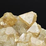 Fantastische scheeliet, gemmoseerd op muscoviet, China