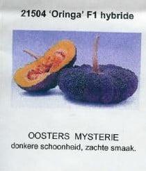 Oringo pompoen zaden, Hobby en Vrije tijd, Knutselen, Nieuw