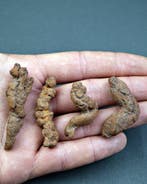 Verse fossiele poep - Gefossiliseerd dier - Coprolito